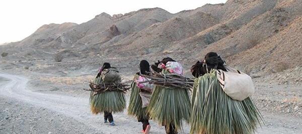 عکس هانیه هادی