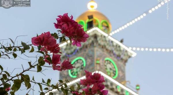 عکس حرم امام علی خام