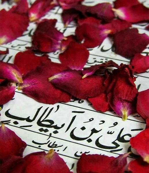 عکس حرم امام علی خام