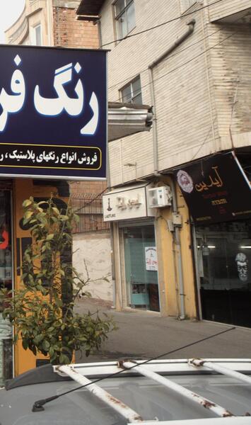 عکس لیدی نواری