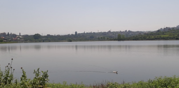 عکس جاده نظامی قائمشهر