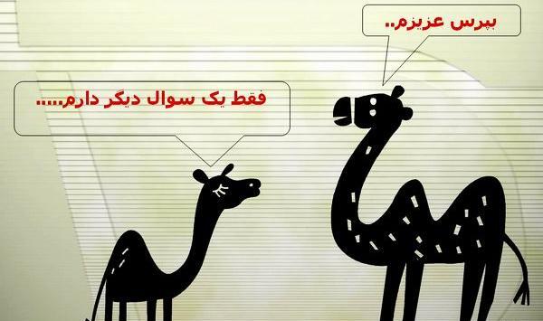 عکس کارتونی شتر