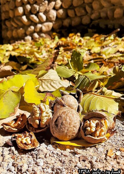 عکس نوشته خیابان پاییز کوچه مهر