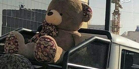عکس ببر حیوان خانگی