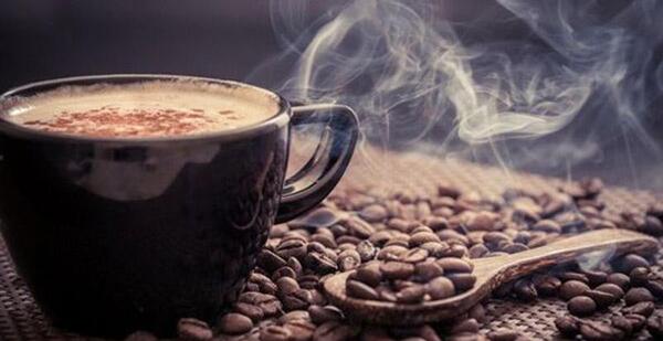 عکس ببر حیوان خانگی