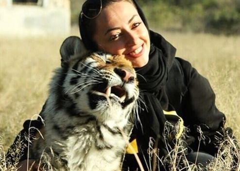 عکس ببر حیوان خانگی