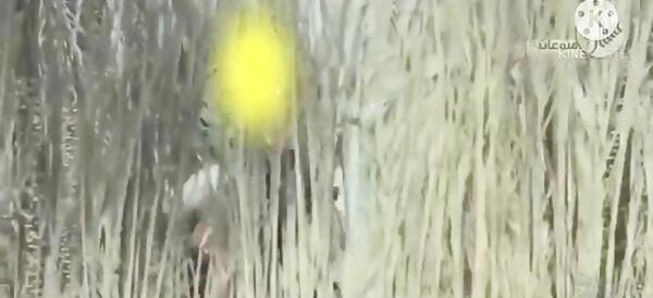 چهره عکس حضرت عباس واقعی