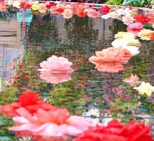 عکس تصاویر طبیعت برای پروفایل تلگرام