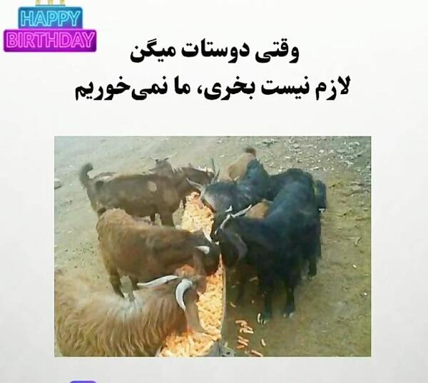 عکس وضعیت واتساپ طنز