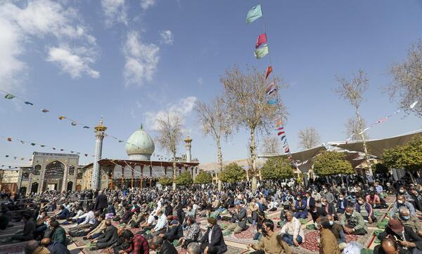 عکس نماینده خانم اردکانی