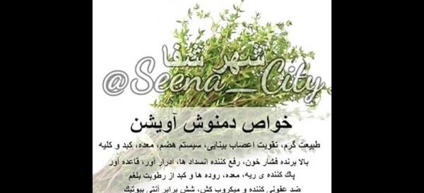 عکس های آویشن