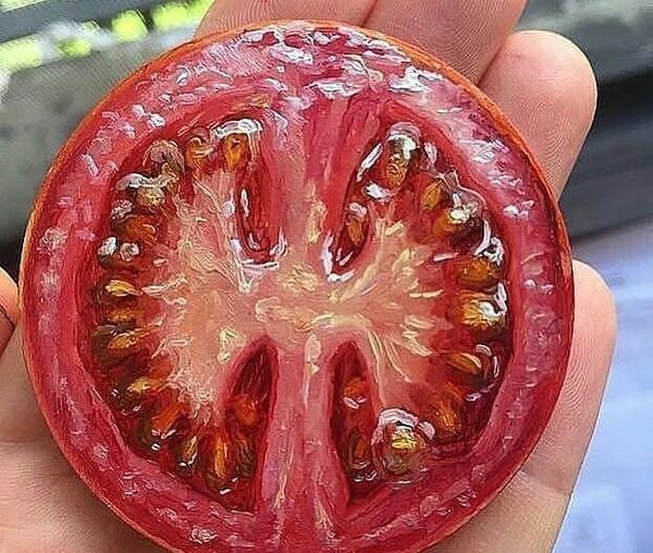 عکس ظرف میوه برای طراحی