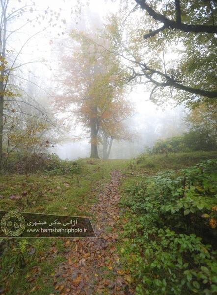 عکس تصویر زمینه گوشی پاییزی