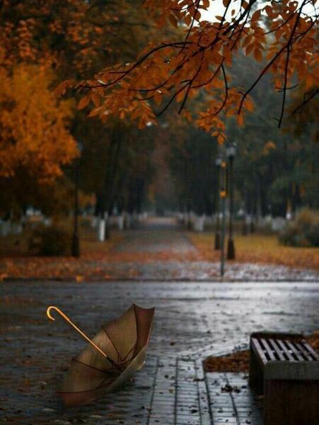 عکس تصویر زمینه گوشی پاییزی