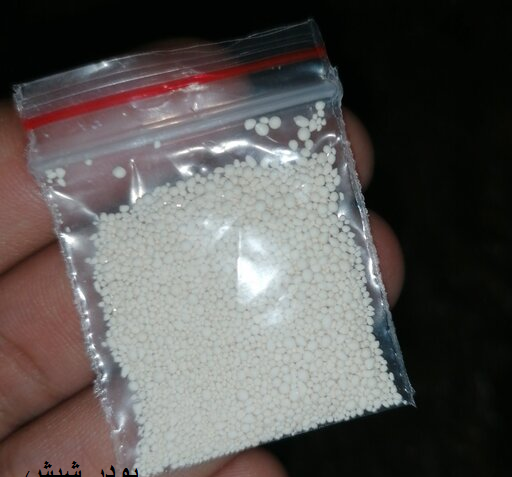 عکس پودر شپش