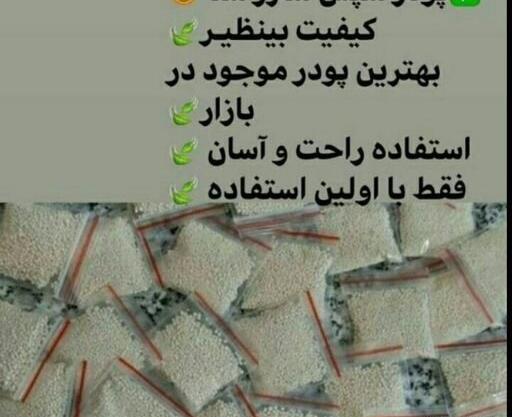 عکس پودر شپش