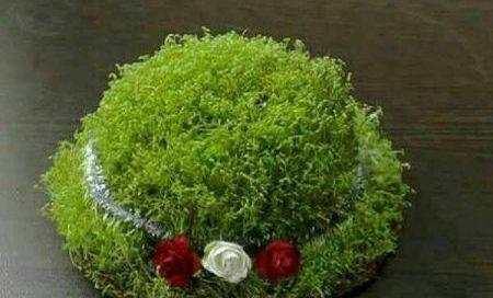 عکس زیباترین سبزه های عید