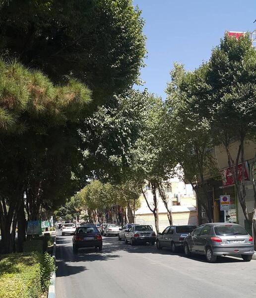 عکس خیابان عطار شاهین شهر