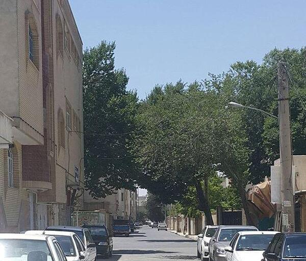 عکس خیابان عطار شاهین شهر