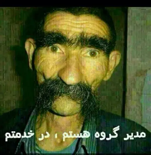 عکس گروه مسخره