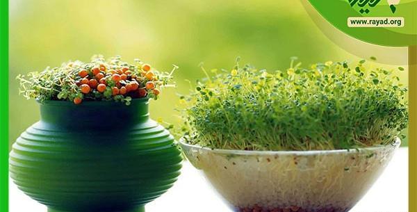 عکس ایده برای نقاشی عید
