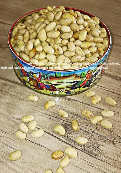 عکس سویا آجیلی
