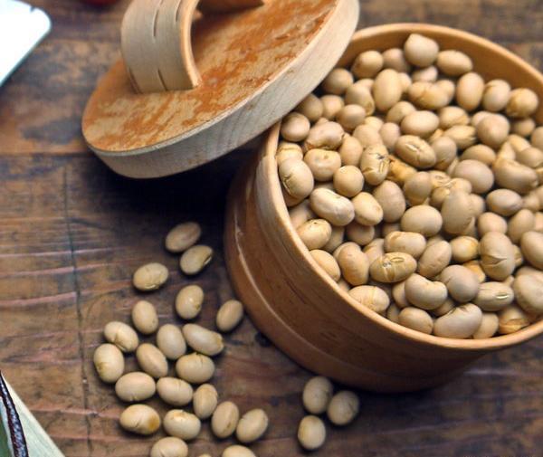عکس سویا آجیلی
