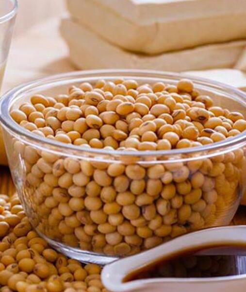 عکس سویا آجیلی