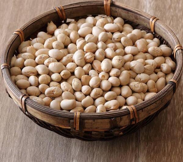عکس سویا آجیلی