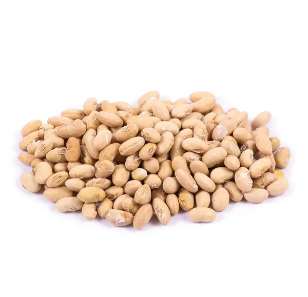 عکس سویا آجیلی