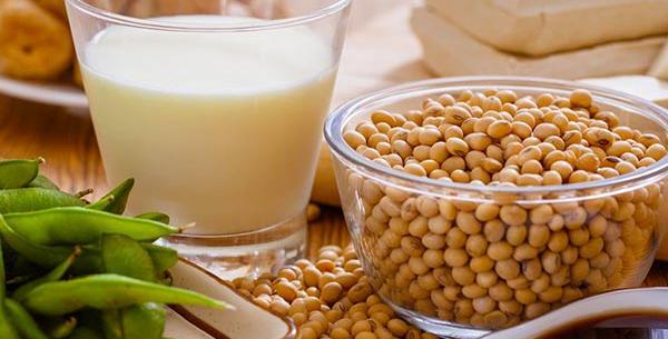 عکس سویا آجیلی