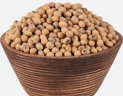 عکس سویا آجیلی