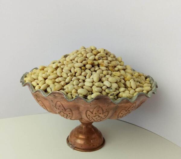عکس سویا آجیلی