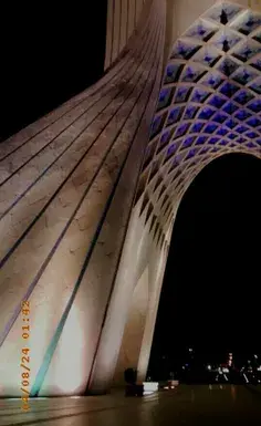 عکس آزادی از قفس