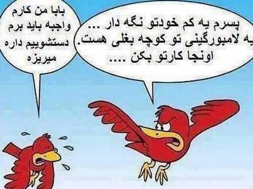 عکس مرد با مقنعه خنده دار