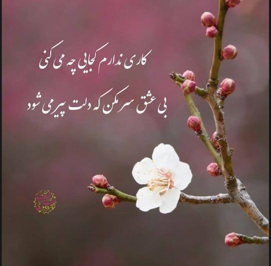 عکس نوشته یه چیزی میشه دیگه