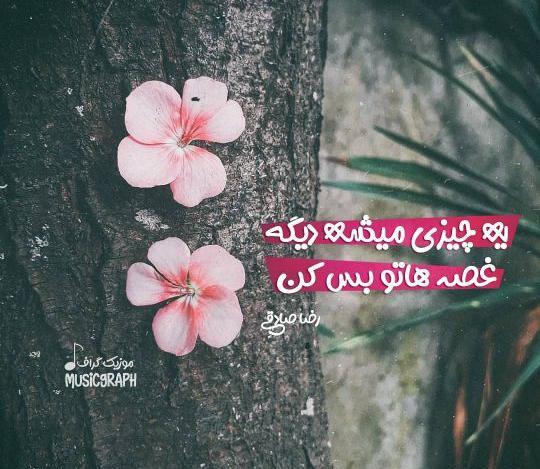 عکس نوشته یه چیزی میشه دیگه