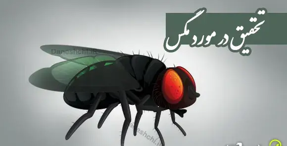 عکس لانه سازی دارکوب