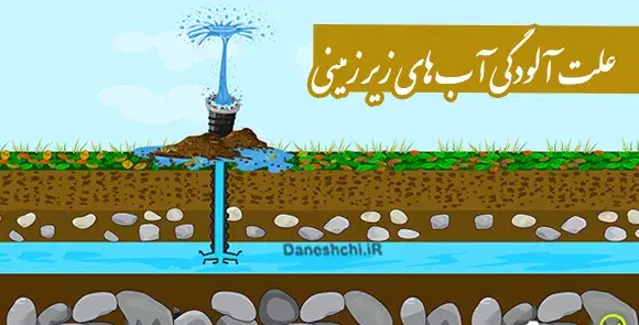 عکس لانه سازی دارکوب