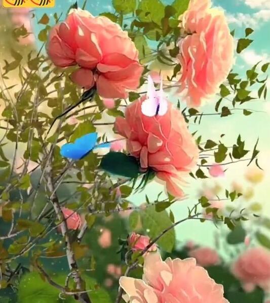 عکس گل متحرک