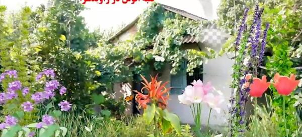 عکس برج نمرود