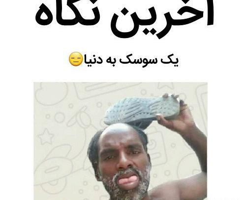 عکس خنده دار سوسک