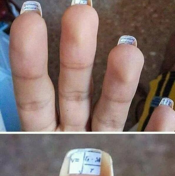 عکس خنده دار سوسک