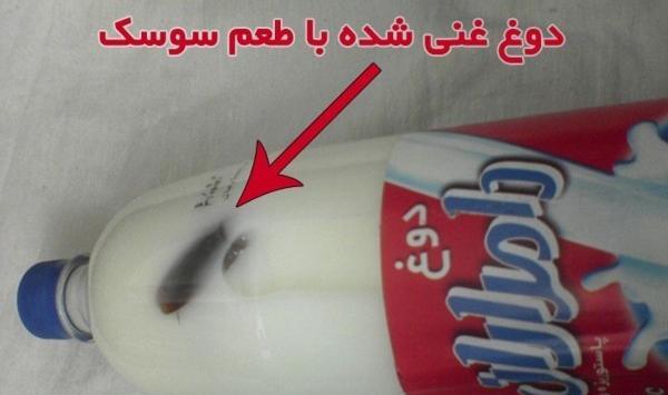 عکس خنده دار سوسک
