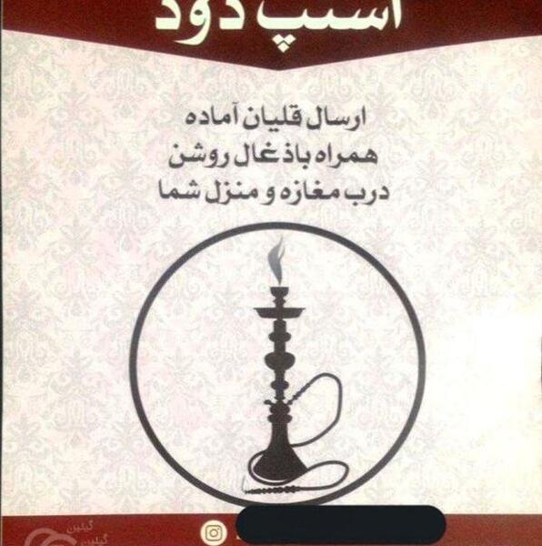 عکس خنده دار سوسک