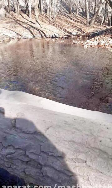 عکس فاطمه حسین زاده