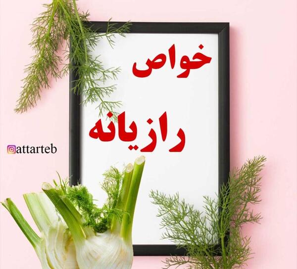 عکس گیاه رازیانه سبز