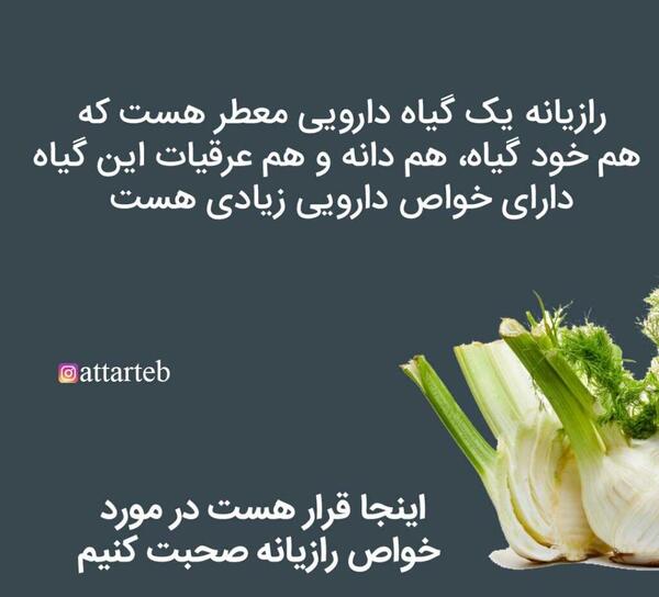عکس گیاه رازیانه سبز