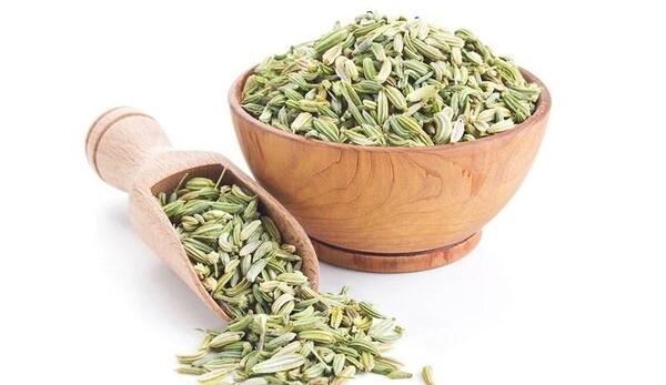 عکس گیاه رازیانه سبز
