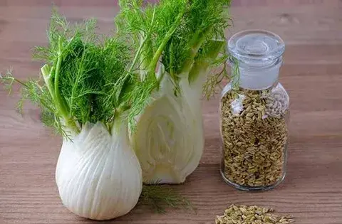 عکس گیاه رازیانه سبز